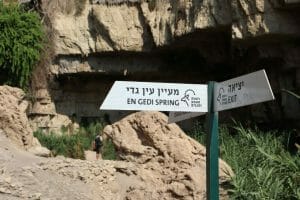 Follow the sign up towards Ein Gedi spring.